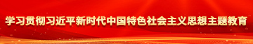 我要看操逼网免费看学习贯彻习近平新时代中国特色社会主义思想主题教育